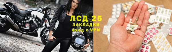 стафф Алексин