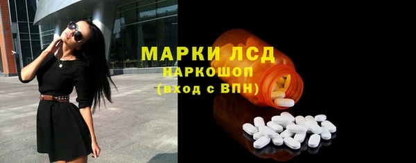 стафф Алексин