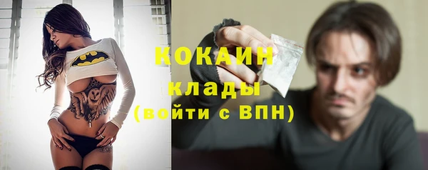 МДПВ Аша