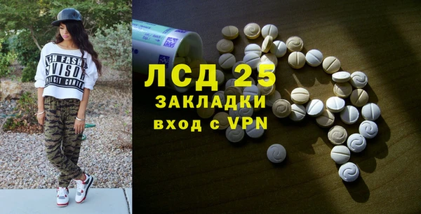 стафф Алексин