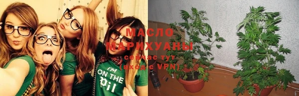 крисы Алексеевка