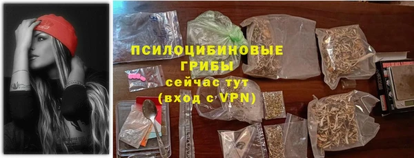 стафф Алексин
