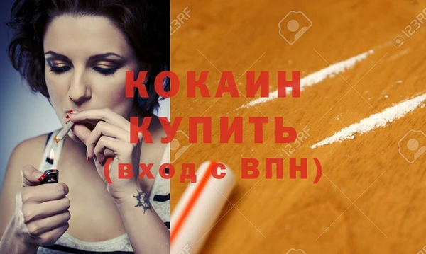 стафф Алексин